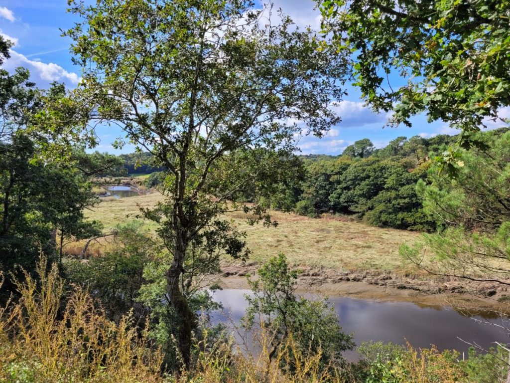 Vaste propriété avec vue sur le Scorff !